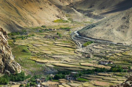 A view of stepped agriculture in Kashmir